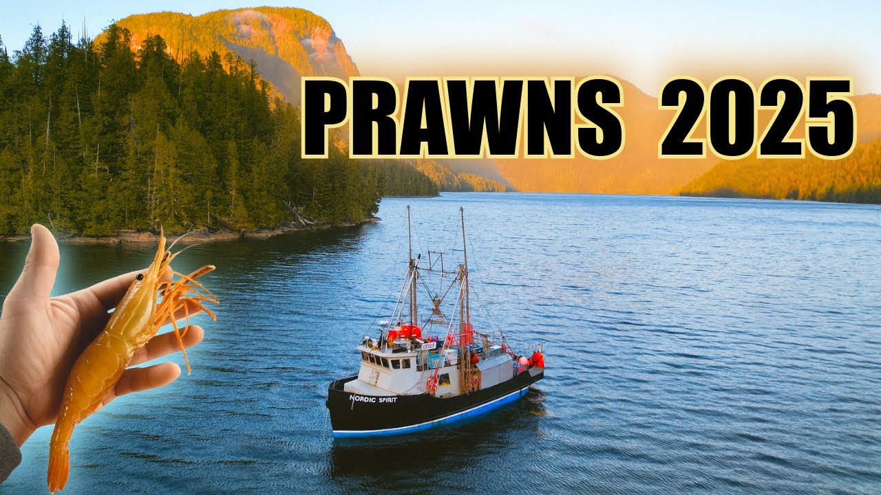 FISHING SPOT PRAWNS 2025