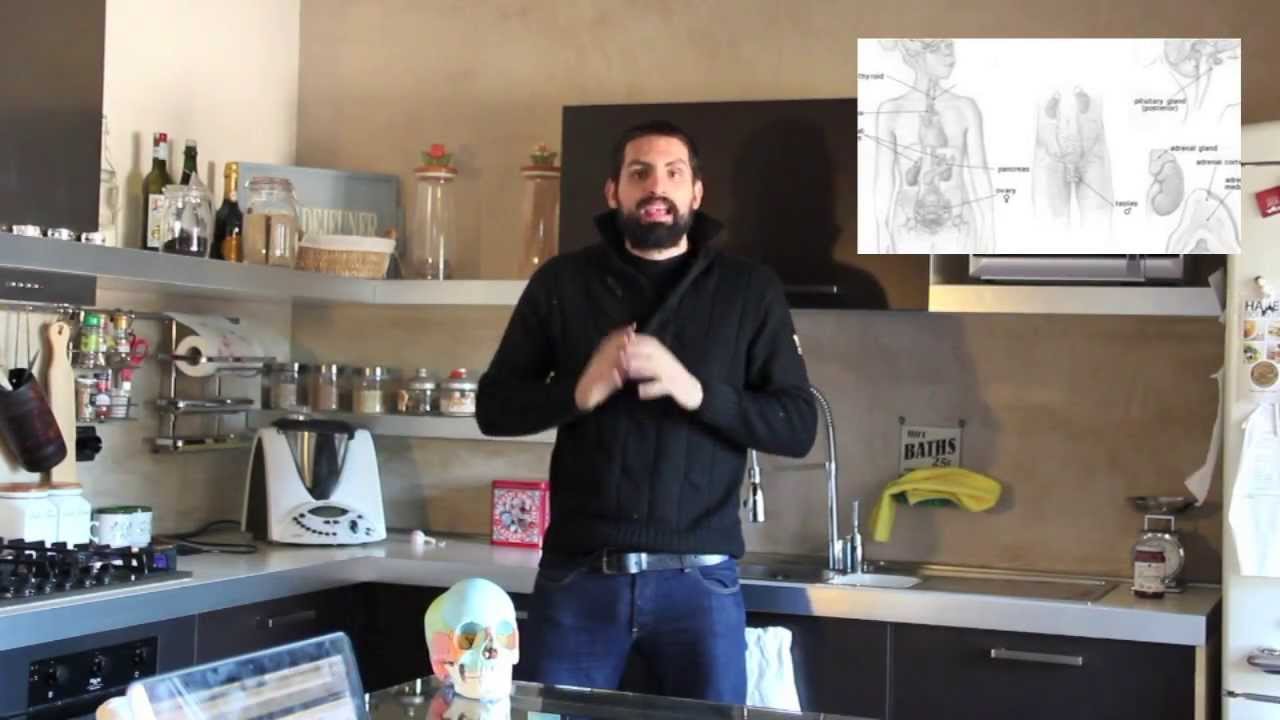 Il metabolismo dei carboidrati (glucidico): le cose essenziali da sapere