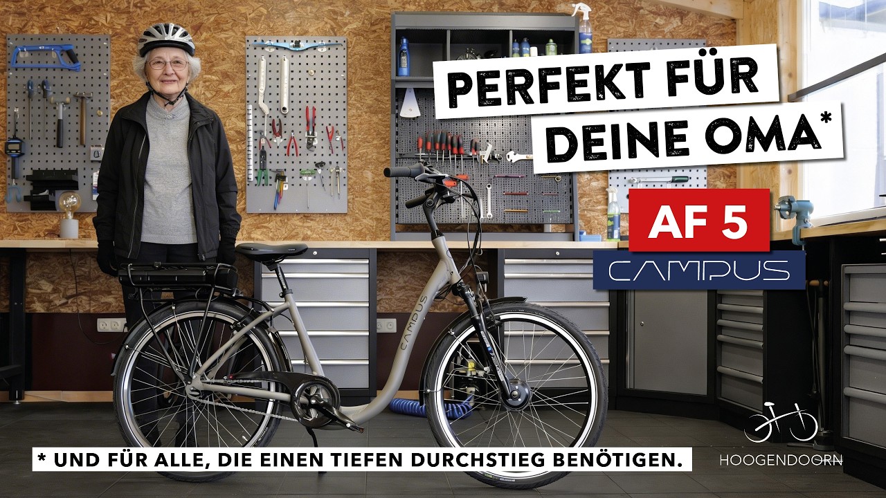 👵 Das perfekte E-Bike für deine Oma. Tiefer Durchstieg ohne Hightech. Solide und robust.