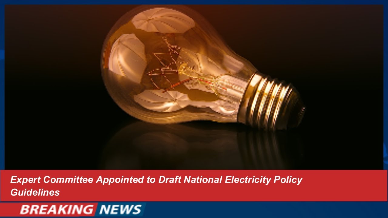 Expert Committee Appointed to Draft National Electricity Policy Guidelines