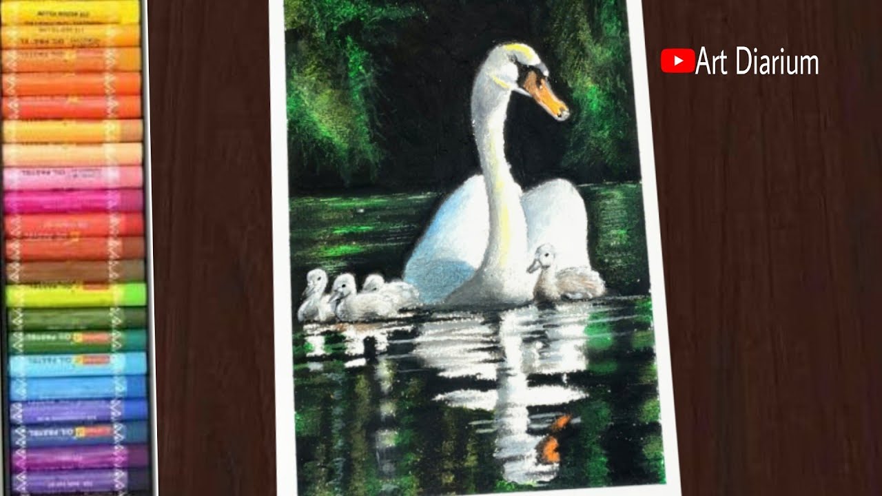 Swan with Babies Drawing using Oil Pastel for Beginners - Step by Step