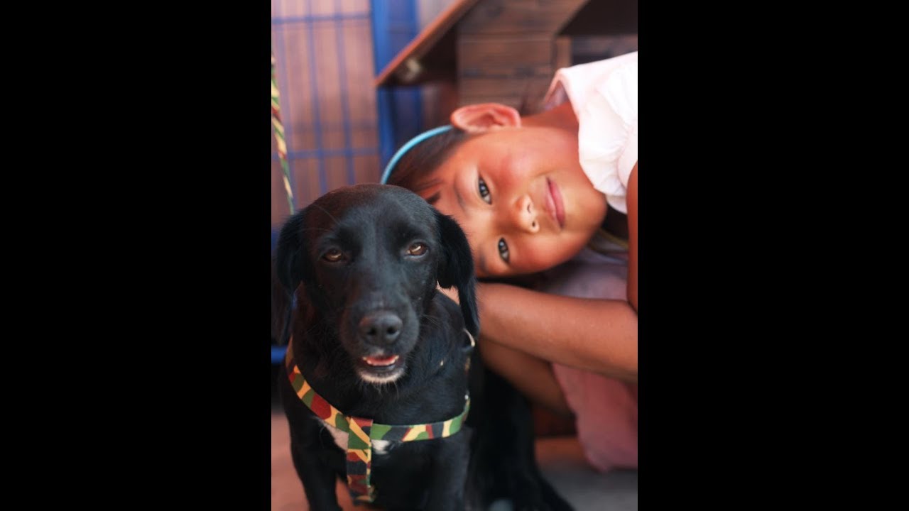 Duo Duo Project - Comapssion beyond borders