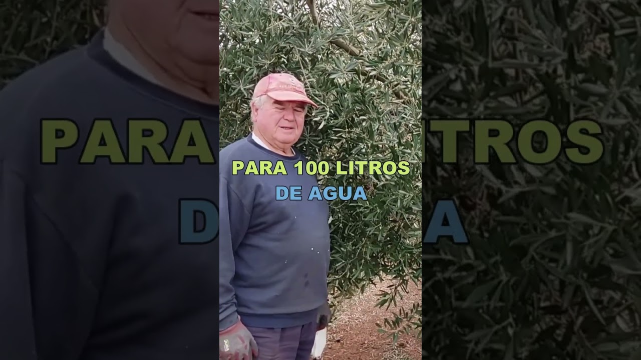 😉 C&oacute;mo PROTEGER los OLIVOS de las ENFERMEDADES #olivos #olivosencasa #huertoadictos #huertos #huerto