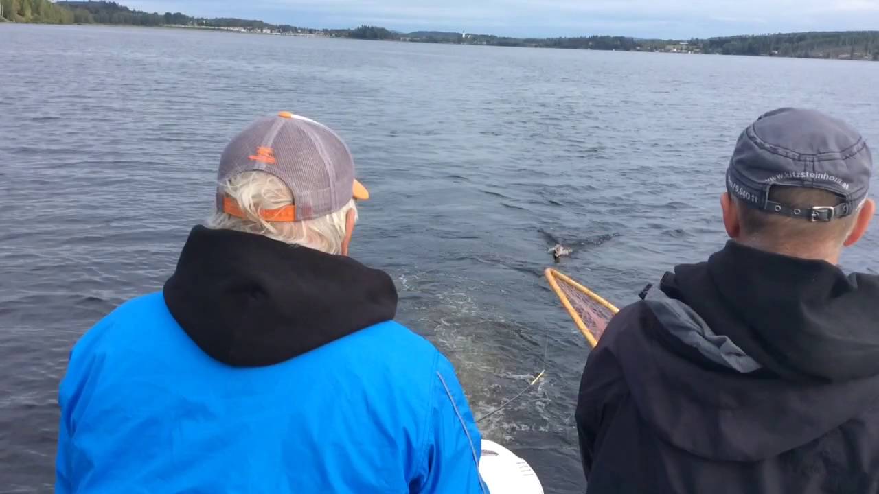 Team Kuling: Lake Tour Fryken