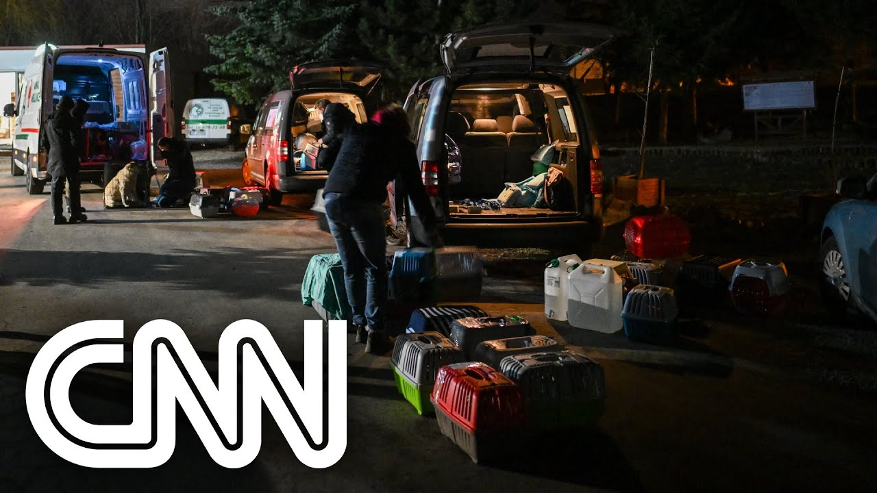 Conflito na Ucrânia faz crescer o abando de animais | CNN PRIME TIME