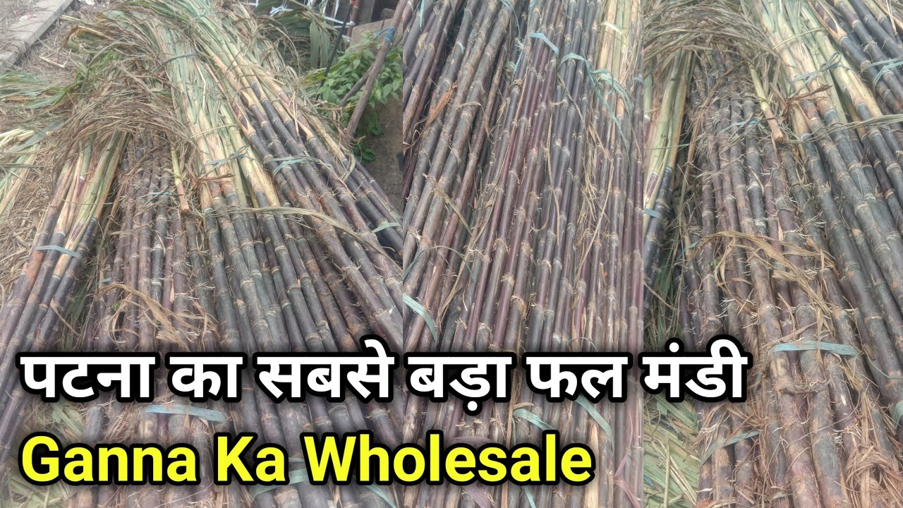 इतना सस्ता Ganna मंडी | Ganna Wholesale Market In Patna | Patna Fruit Mandi | Wholesale In Patna
