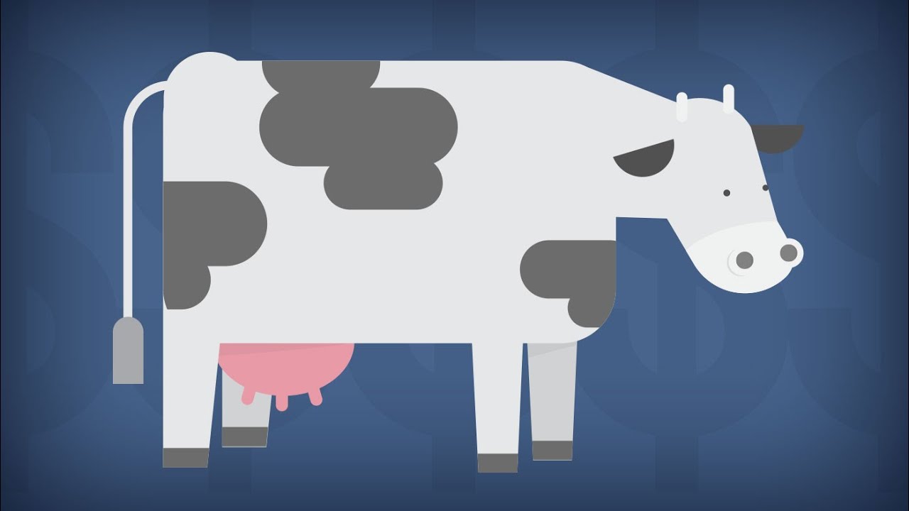 Milk Prices - Behind the News