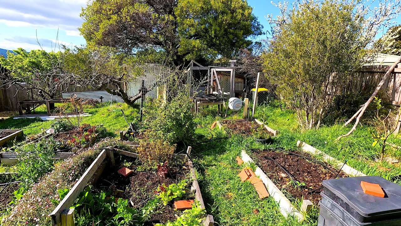 God what a MESS! Watch me RESCUE this BACKYARD!