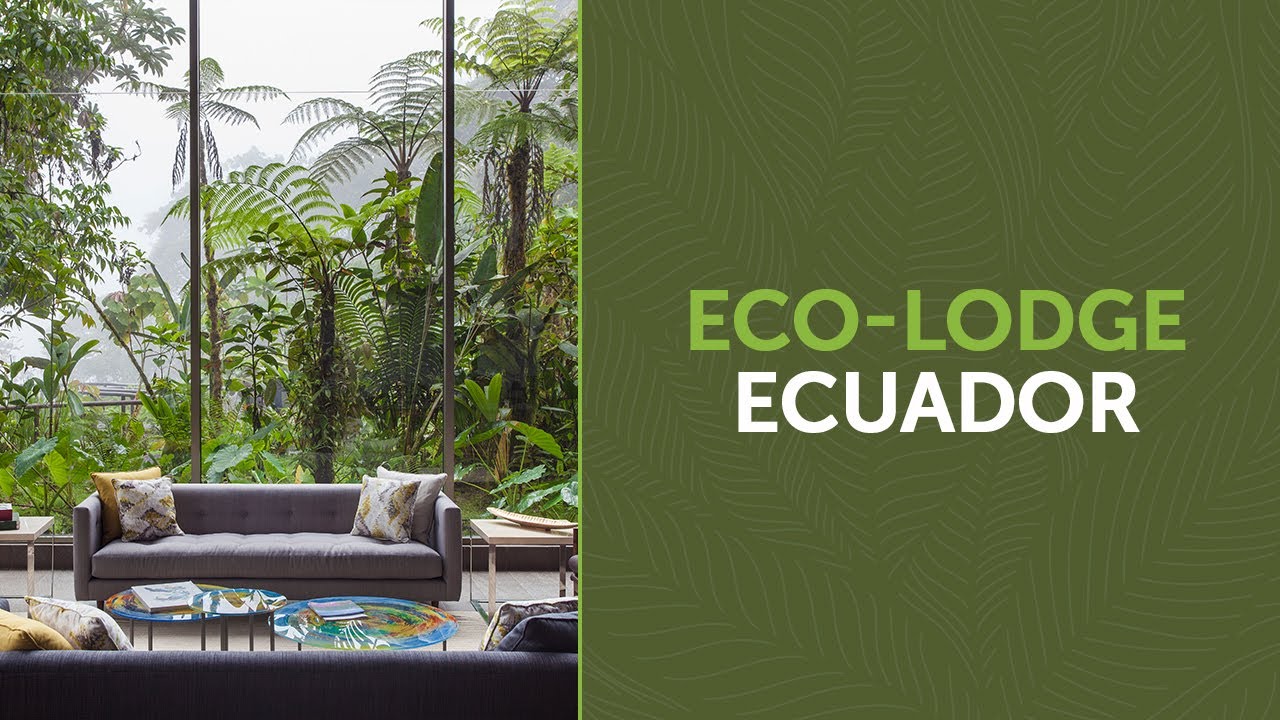 Eco Lodge Ecuador – Explore the Magic of Mashpi Lodge! ☁️🌿🐦