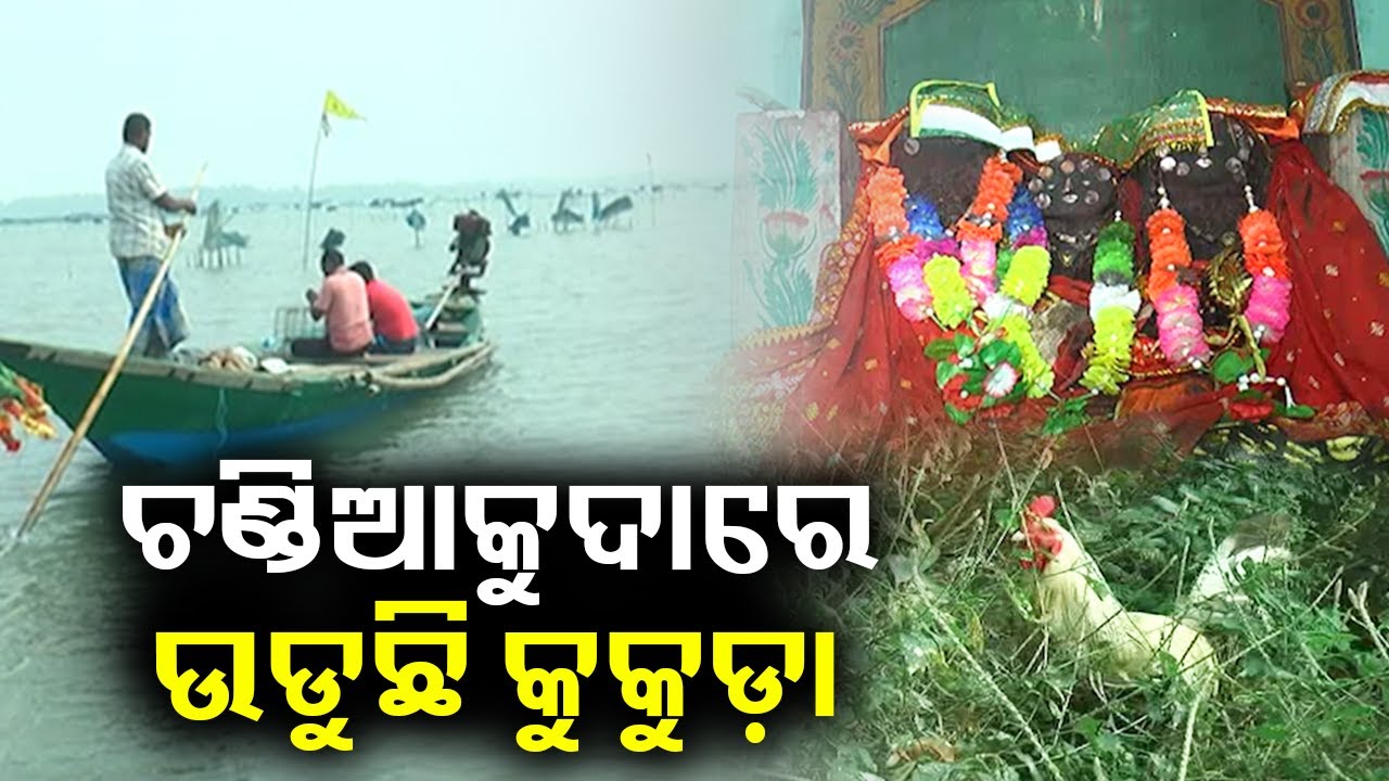 Unique way of worshiping Chilika's Chandiakuda || Kalinga TV