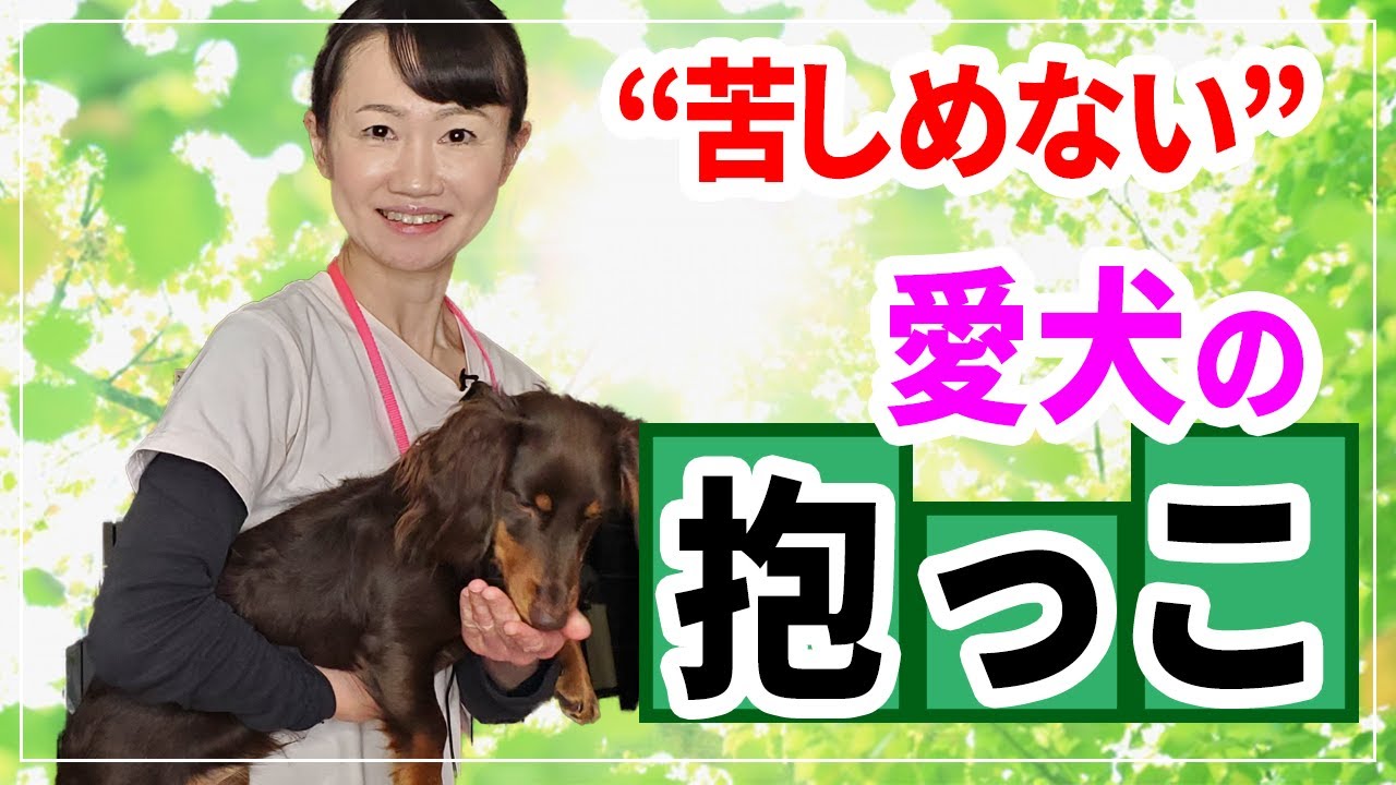 抱っこのやり方を間違えると愛犬に大きな負担を与えます。正しい抱っこで愛犬との素敵な暮らしを！