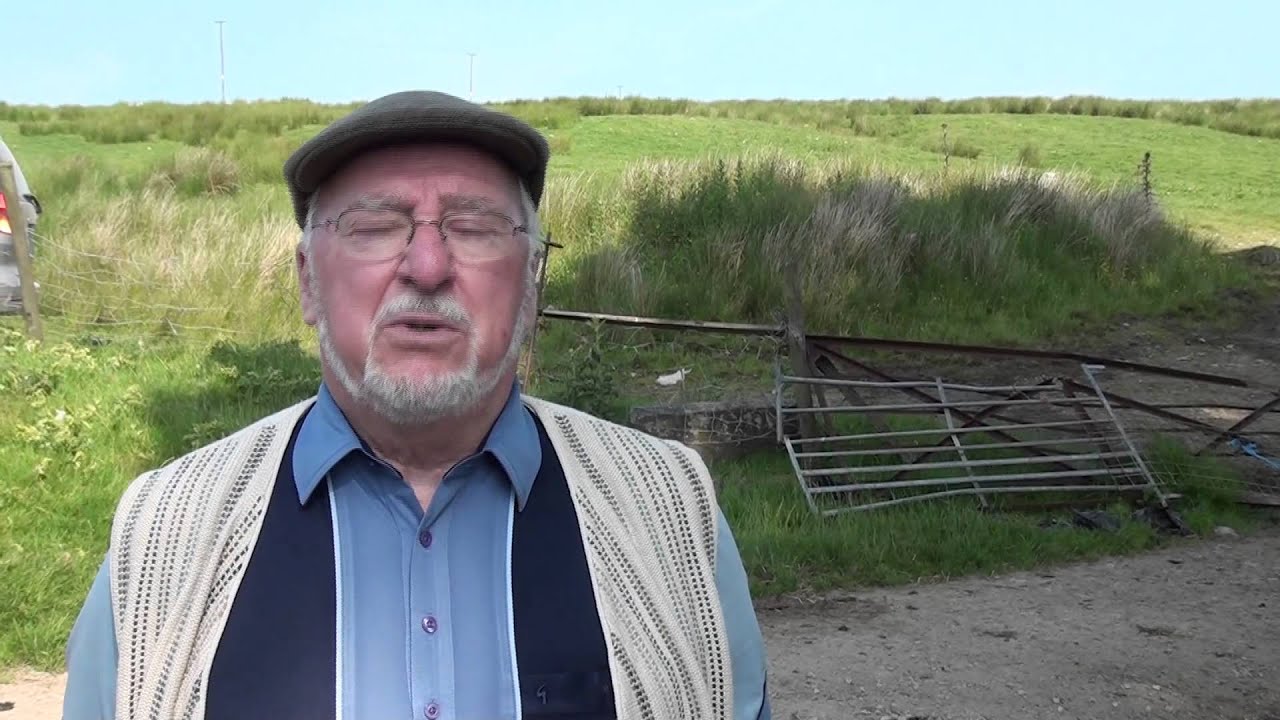 Llansannan Village - Sheering Sheep