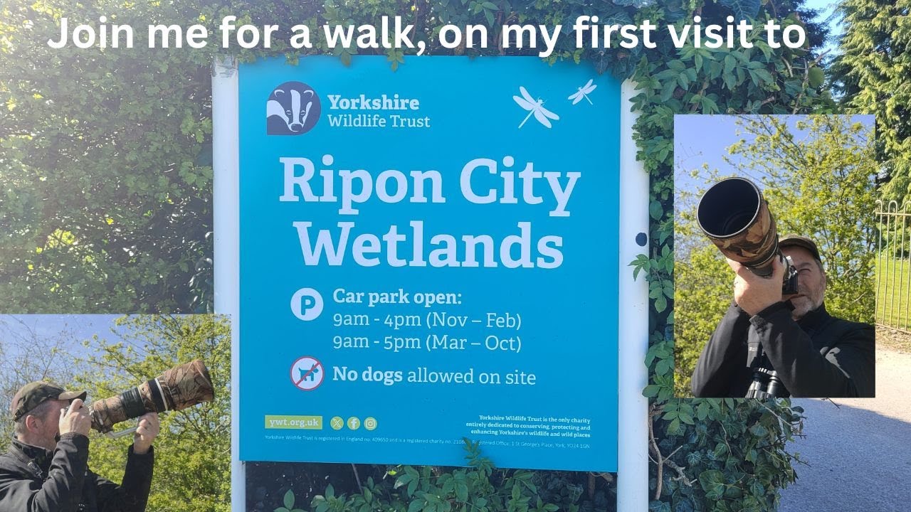 Ripon City Wetlands