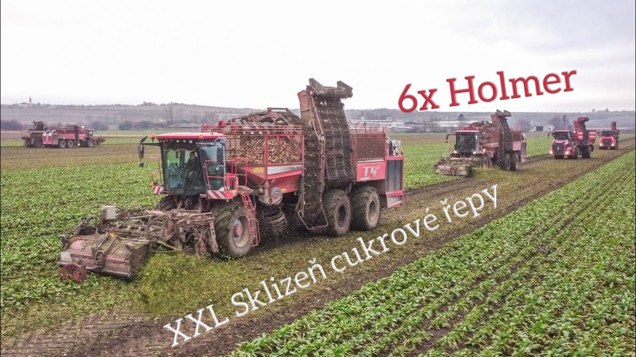 XXL Sklizeň cukrové řepy 2024 |6x Holmer - Nový T5-40 , 2xT4-40 , Terra Variant 585 & 600 ECO