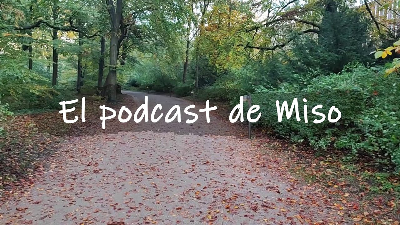 El podcast de Miso - Ep92 De tejidos, patrones y preguntas