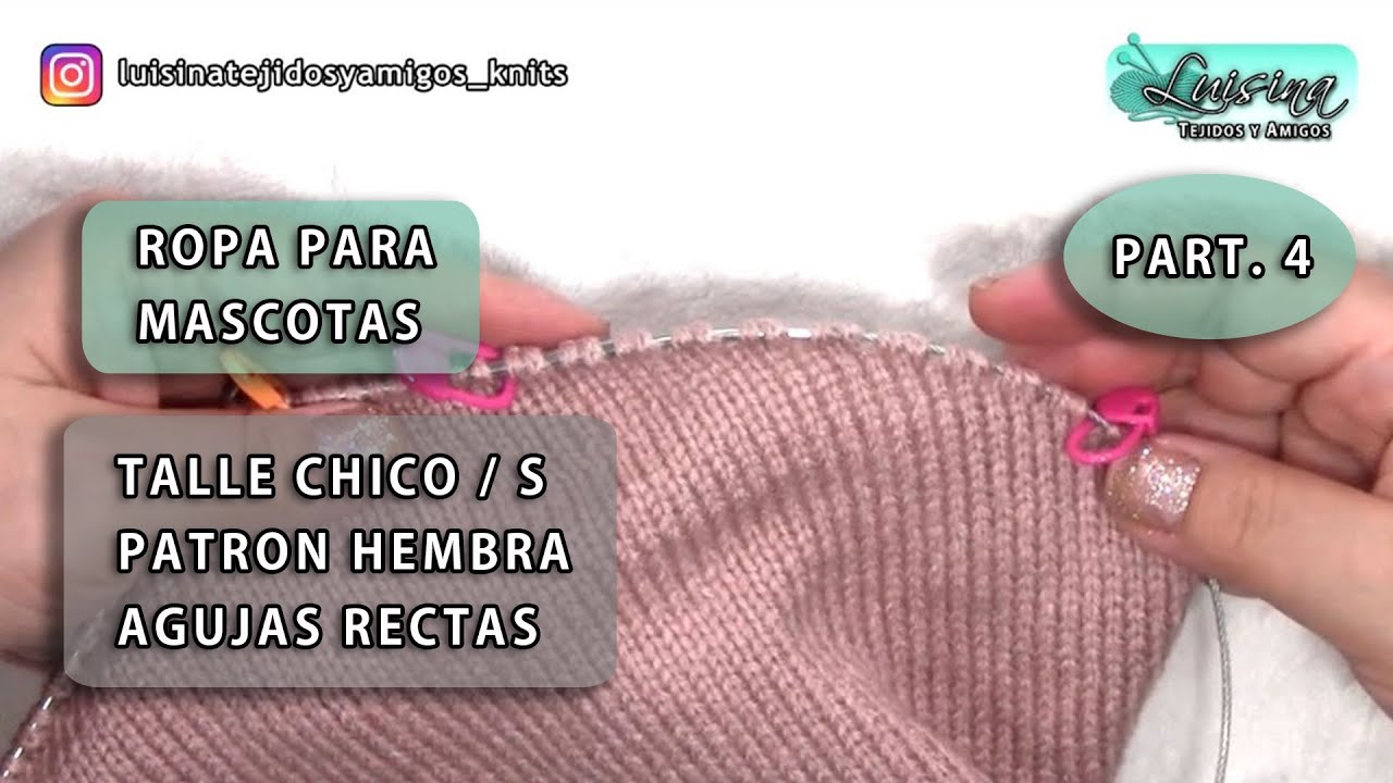 ROPA PARA MASCOTAS   TALLE CHICO   PATRON HEMBRA   AGUJAS RECTAS   LUISINA TEJIDOS Y AMIGOS part 4