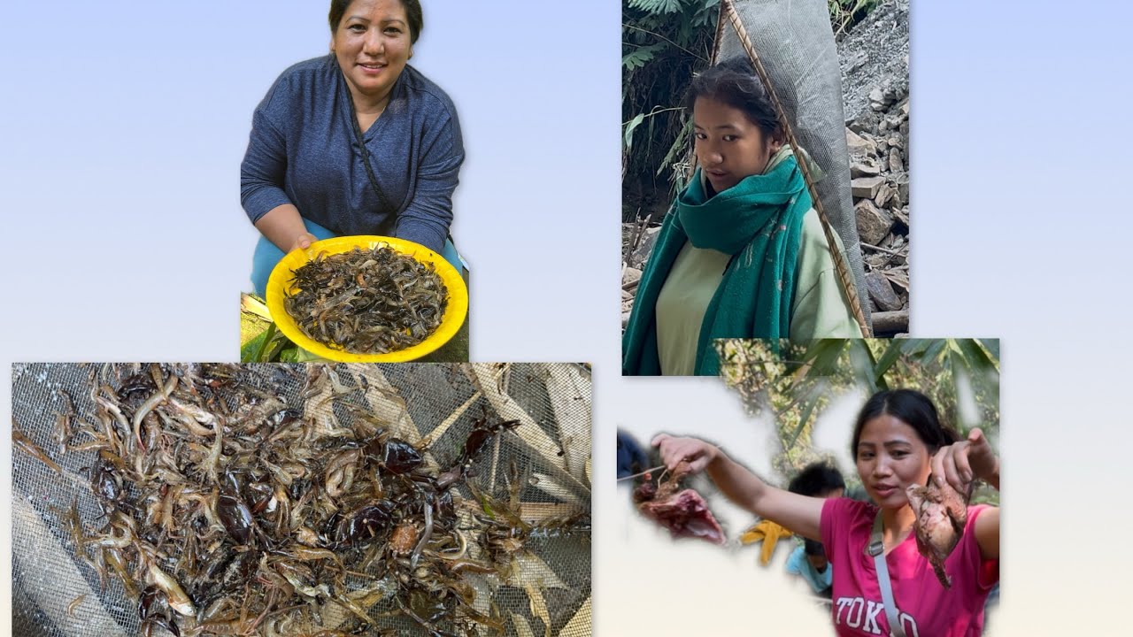 Mini hiking with beautiful people /arunachal 