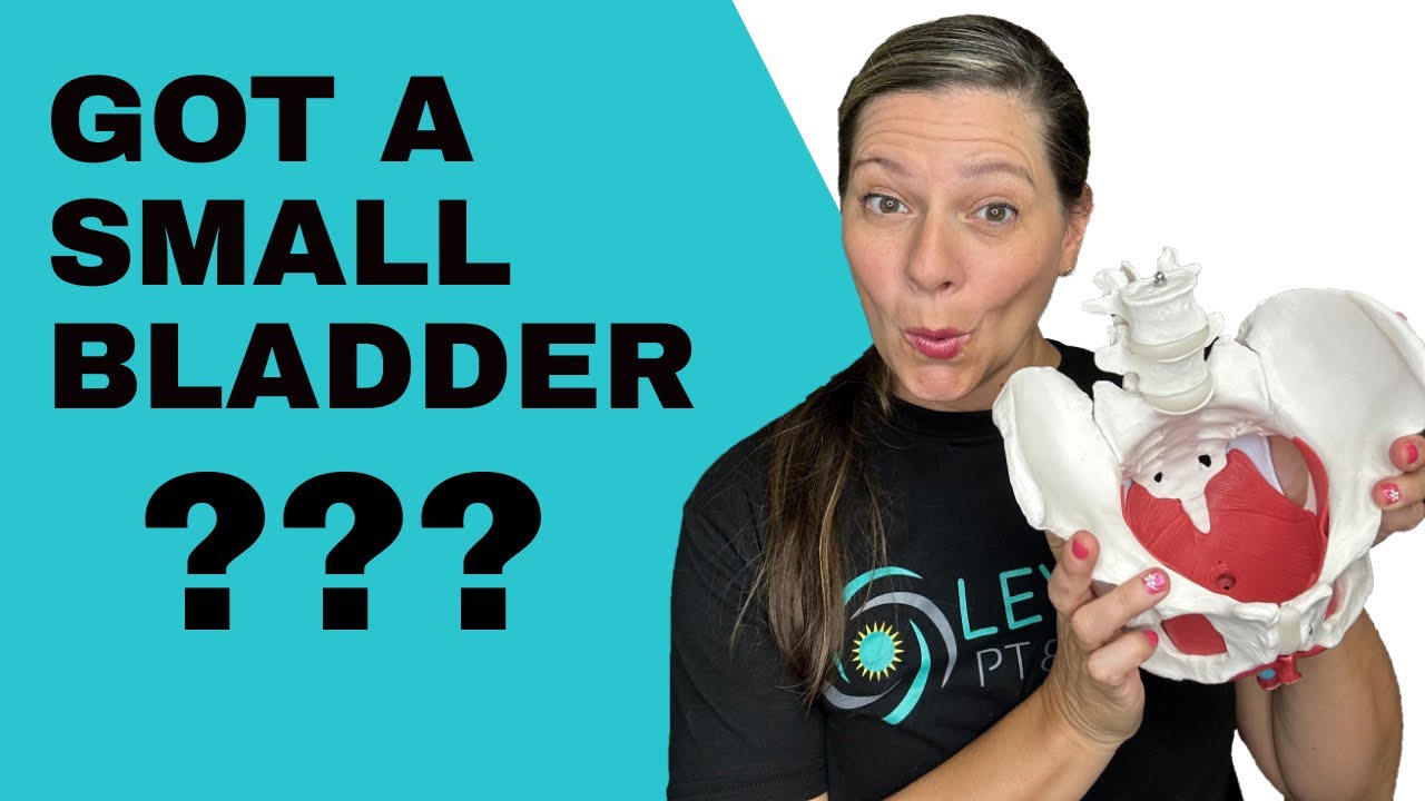 Do I Have A Small Bladder? |Top 7 HEALTHY Bladder Habits