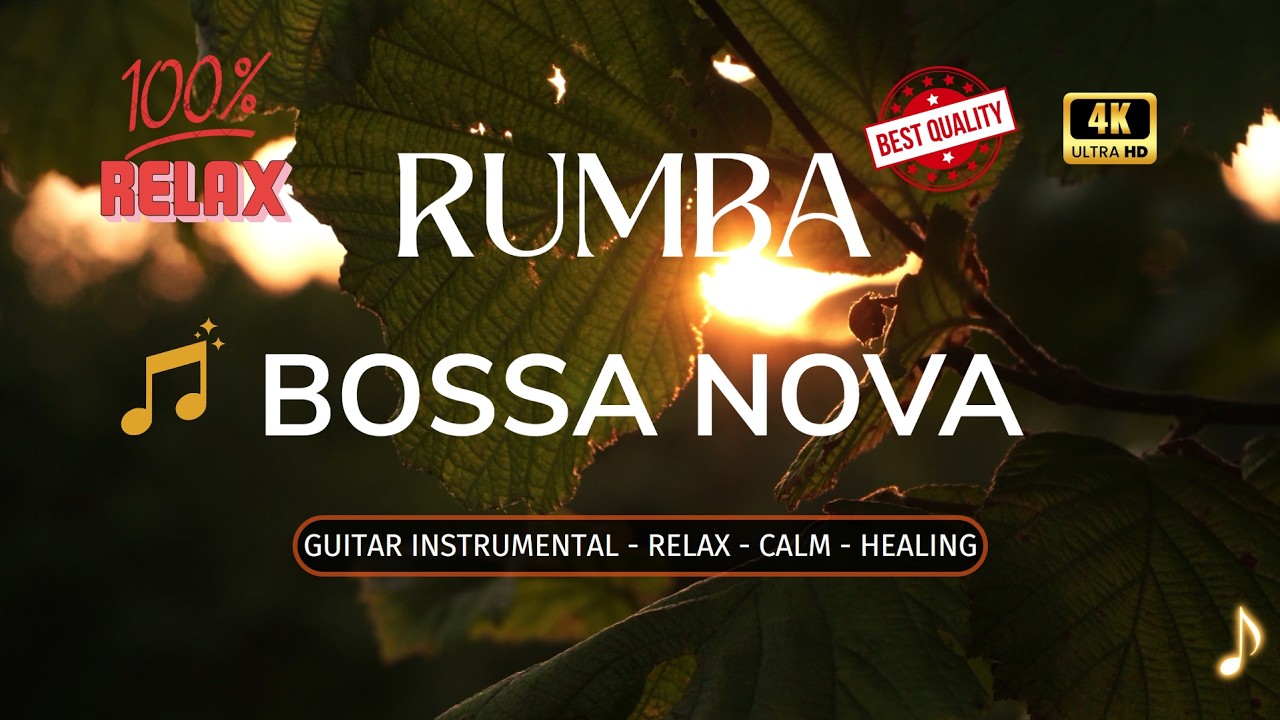 RUMBA BOSSA NOVA | Peaceful Guitar Instrumental for Study, Work, and Relaxing