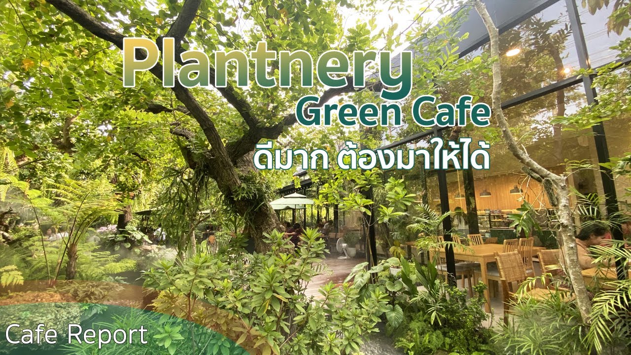 [Cafe Report] must watch beautiful tropical forest cafe | Plantnery Green Cafe |