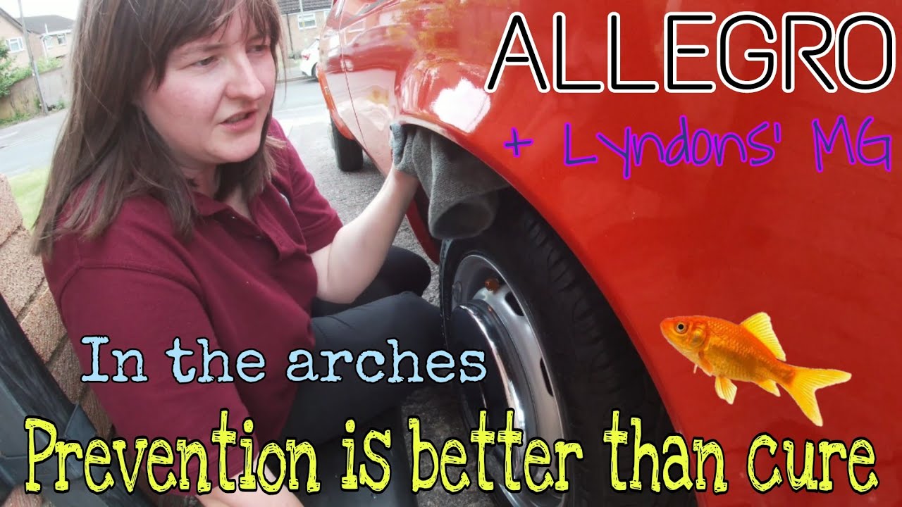 AUSTIN ALLEGRO . I Shove my hands up the arches, then Lyndon came home in this new toy