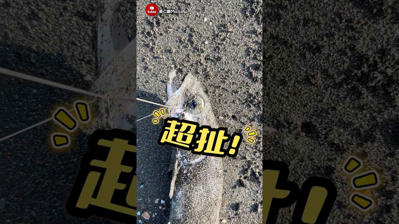 橋上路人大叫，抬頭一看凹到差點噴竿，結果餌都省了的車禍現場😂 #釣魚 #fishing #shorts