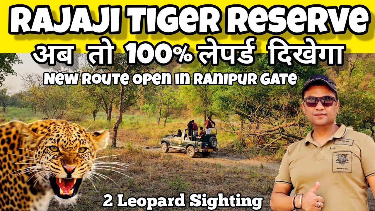 तेंदुआ दिखने की 100% गारंटी | Rajaji Tiger Reserve | Ranipur Gate | Rajaji National Park #uttrakhand