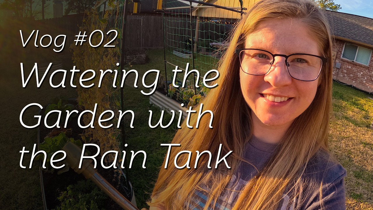 Budlet Garden Vlog #02: Watering the Garden with the Rain Tank