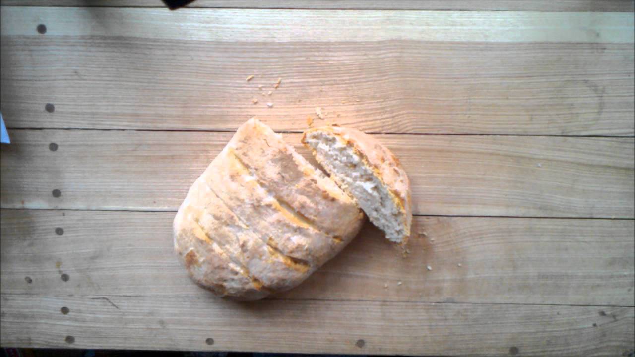 Sourdough Starter