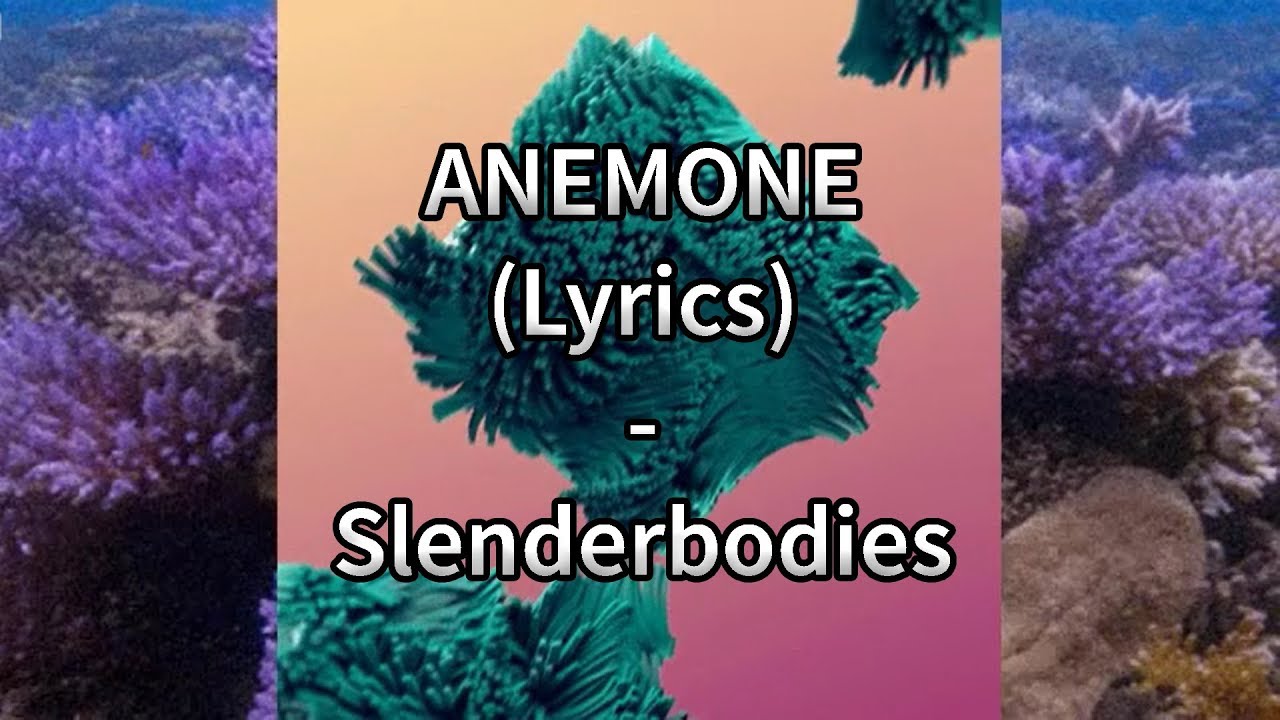 Anemone l Slenderbodies Lyrics