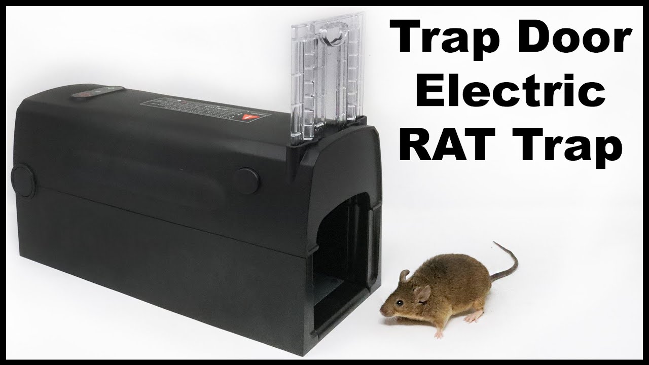 Shut The Front Door Electric Rat Trap -  Montrap Electric Trap. Mousetrap Monday