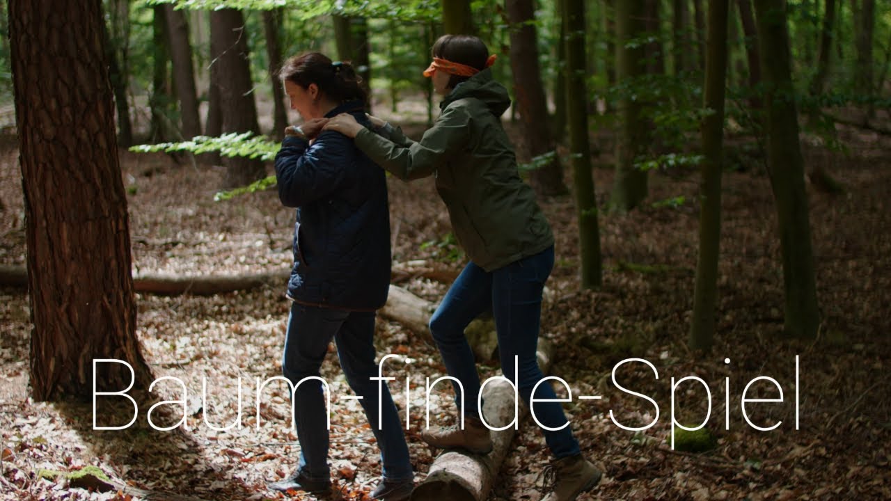 Baum-finde-Spiel | Naturwissensdurst