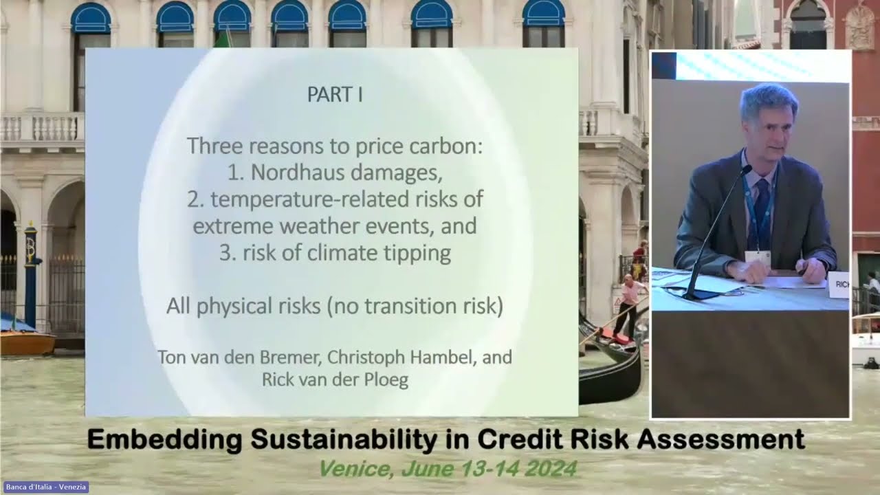 Embedding Sustainability in Credit Risk Assessment - Banca d'Italia e Fondo monetario internazionale