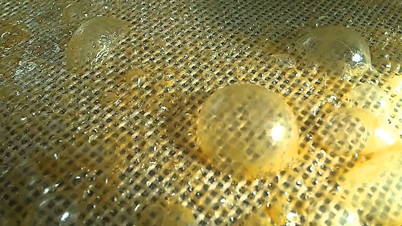 More BHO....