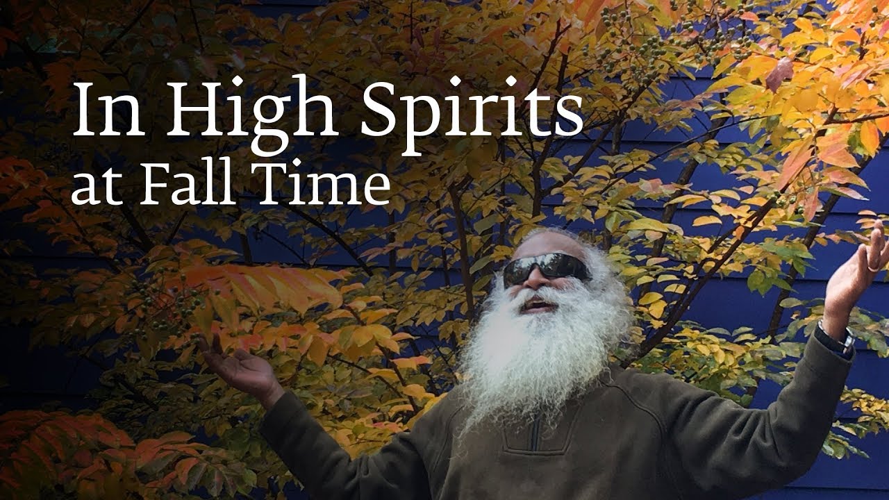 In High Spirits at Fall Time &ndash; Sadhguru Spot of 9 Nov 2018