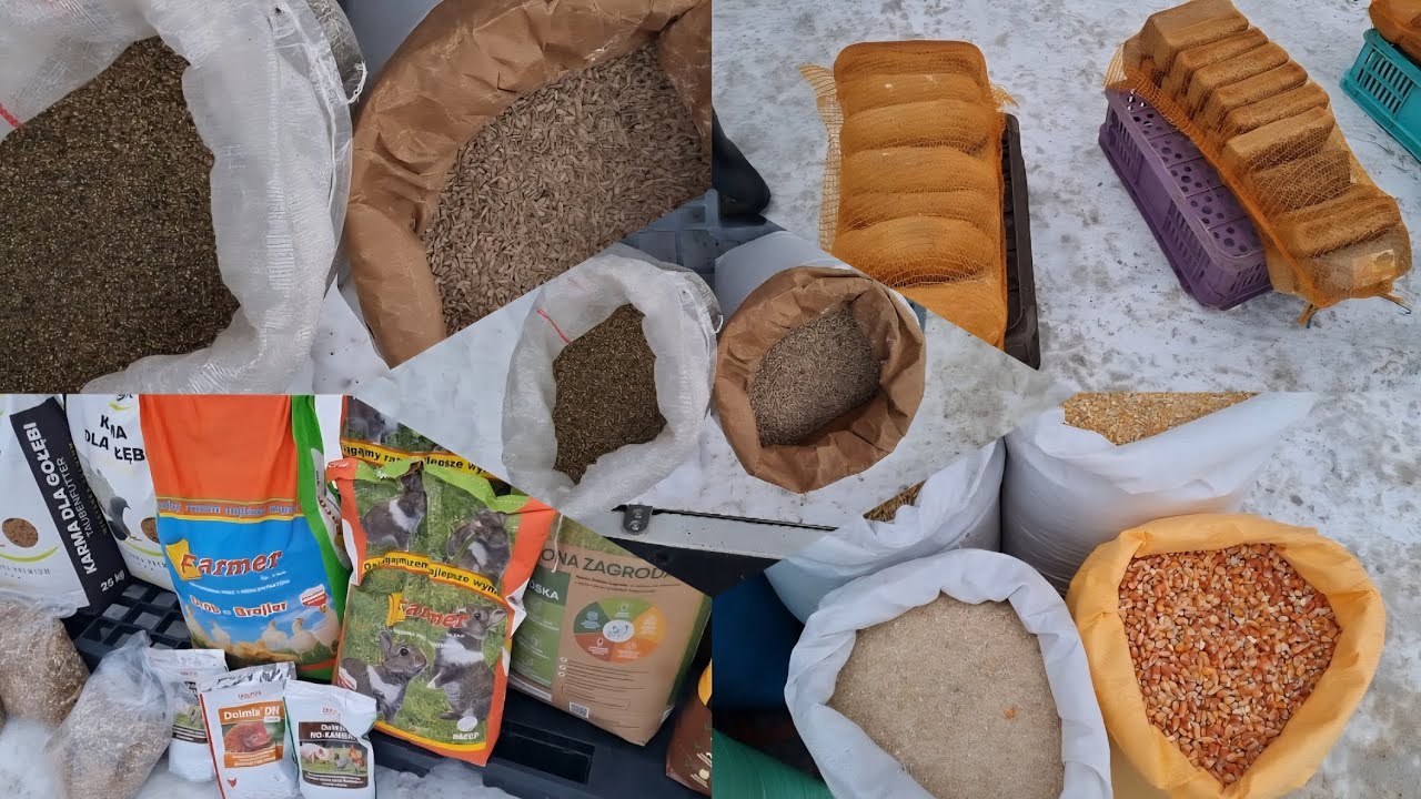 Rynek Targ Ostrołęka 🥖🌽🌾🥶🌬❄️( pytanie)