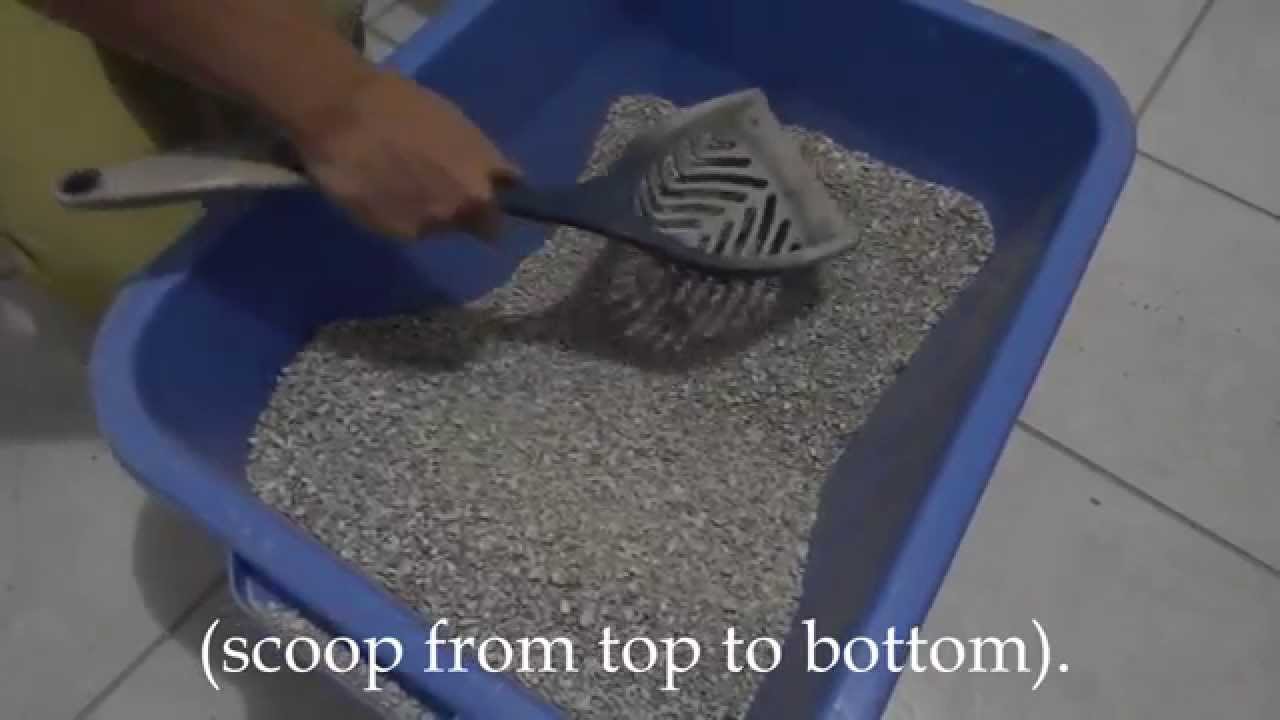 How to clean the litter box video