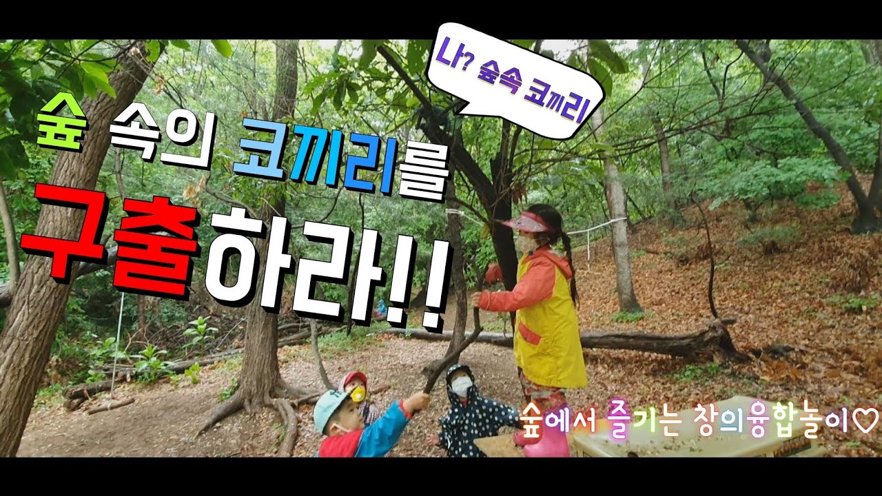 비오는 날 숲에서 즐기는 창의융합놀이♡