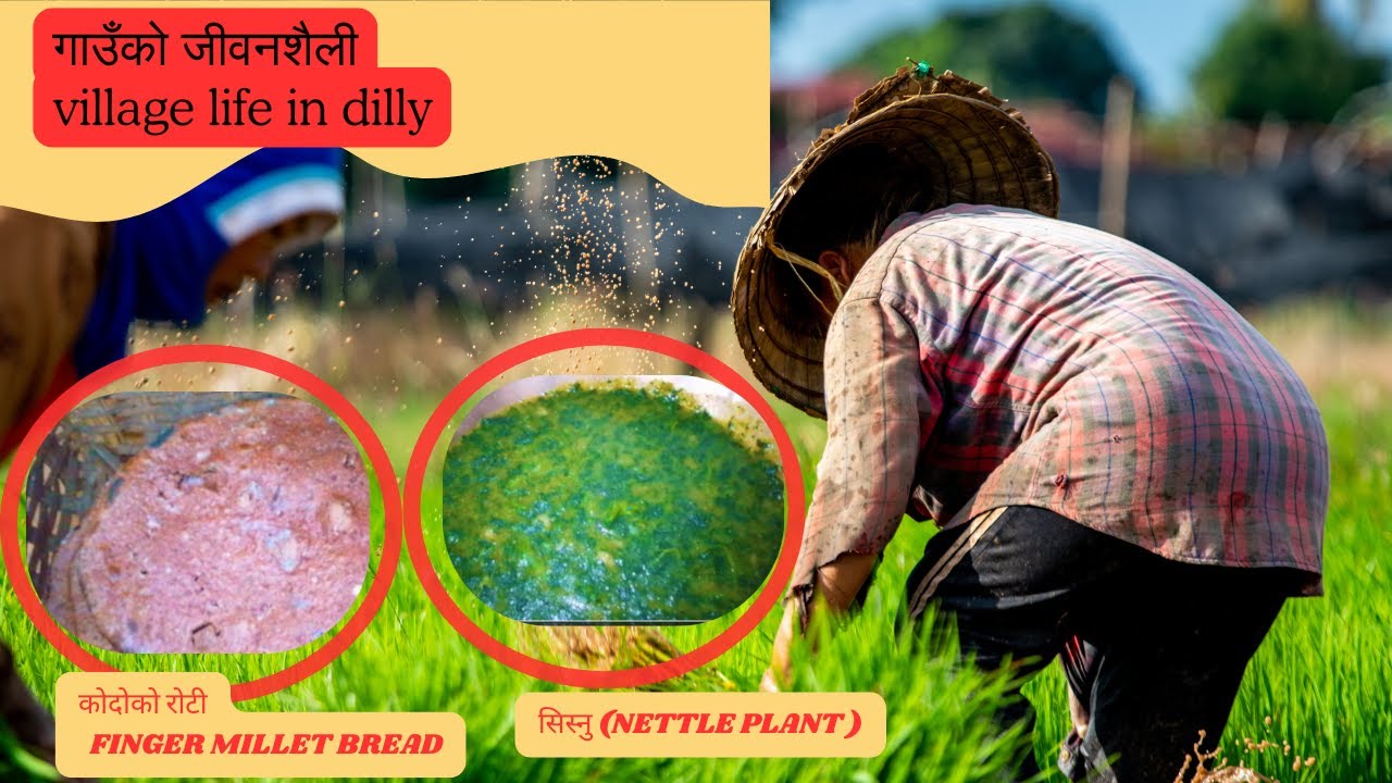 rural village life in nepal | village cooking | village food