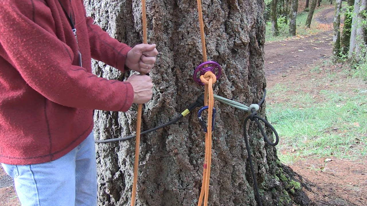 Retrievable Basal Anchor