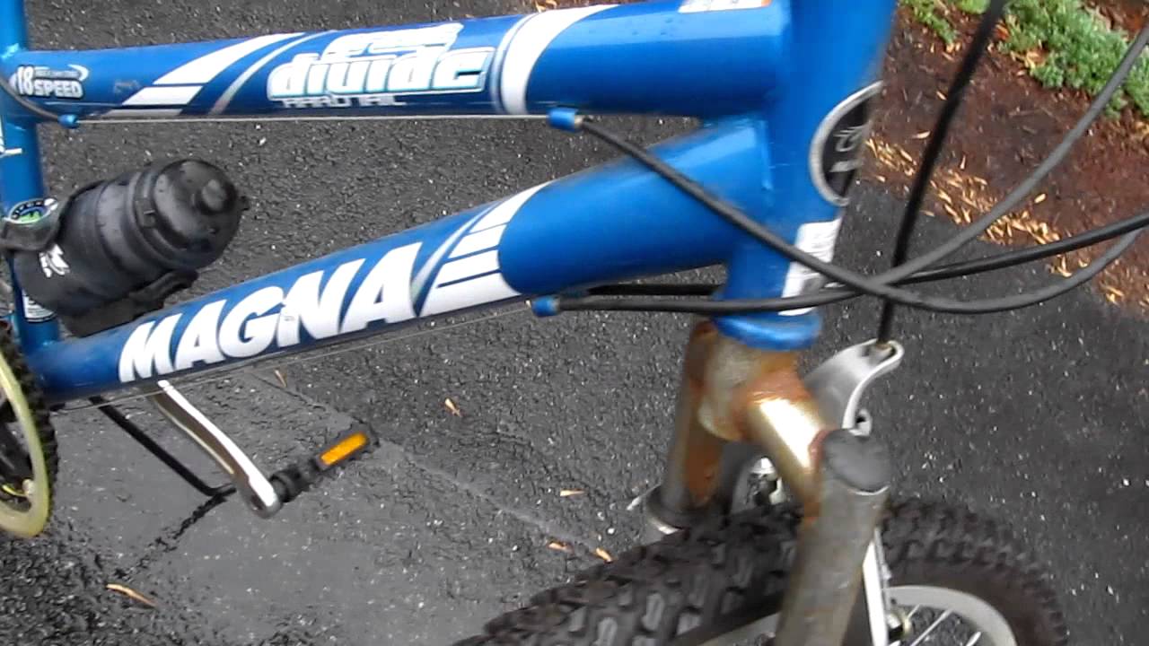 magna bike