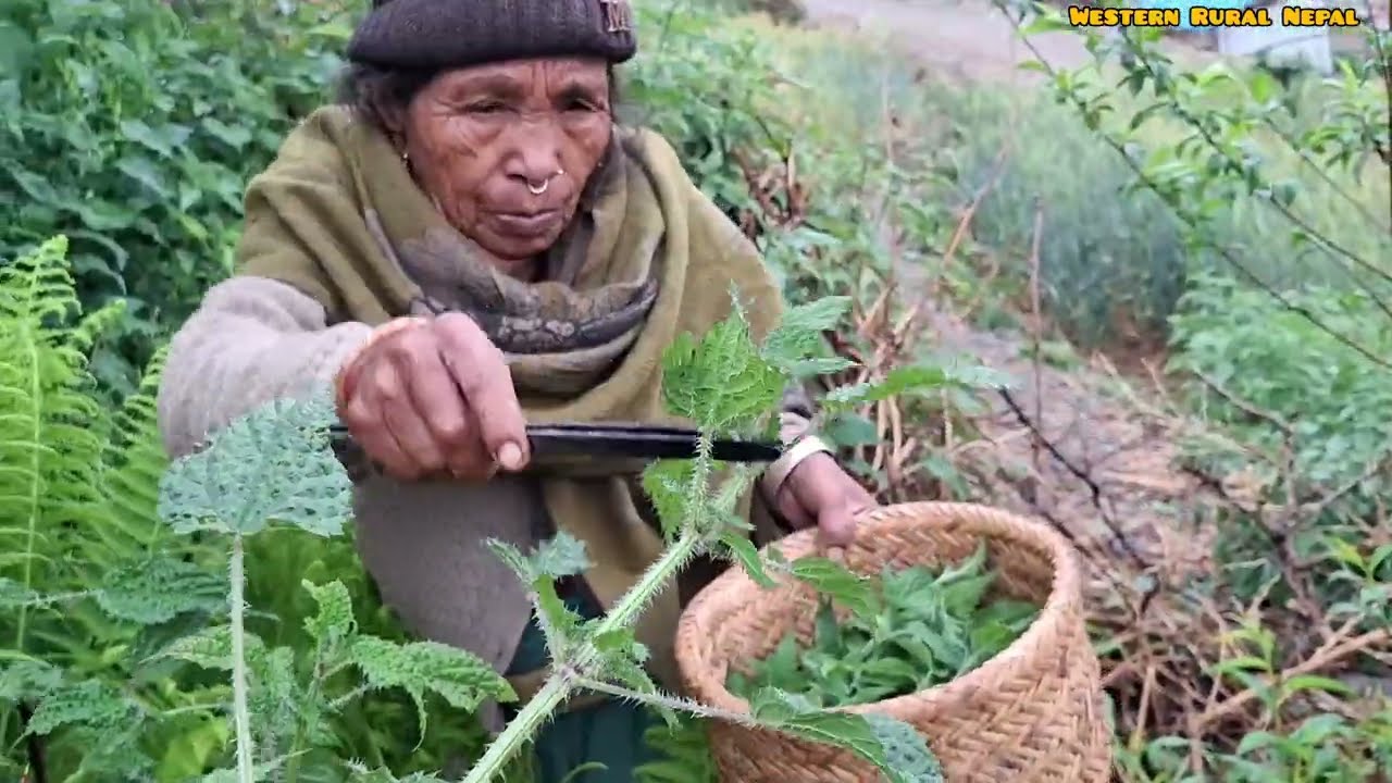 From Farm to Firewood: What’s Bubbling in Grandma’s Village Kitchen?