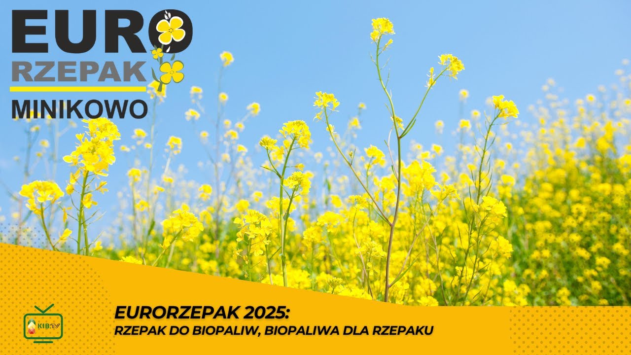 Eurorzepak 2025: rzepak do biopaliw, biopaliwa dla rzepaku