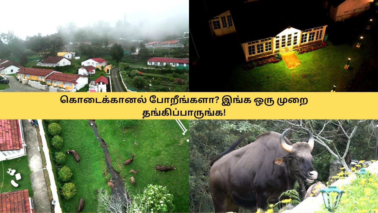 14 ஏக்கரில் பரந்து விரிந்த ரிசார்ட் #kodaikanal #kodaikanaltour #holidayhomeresort #dp'stouch