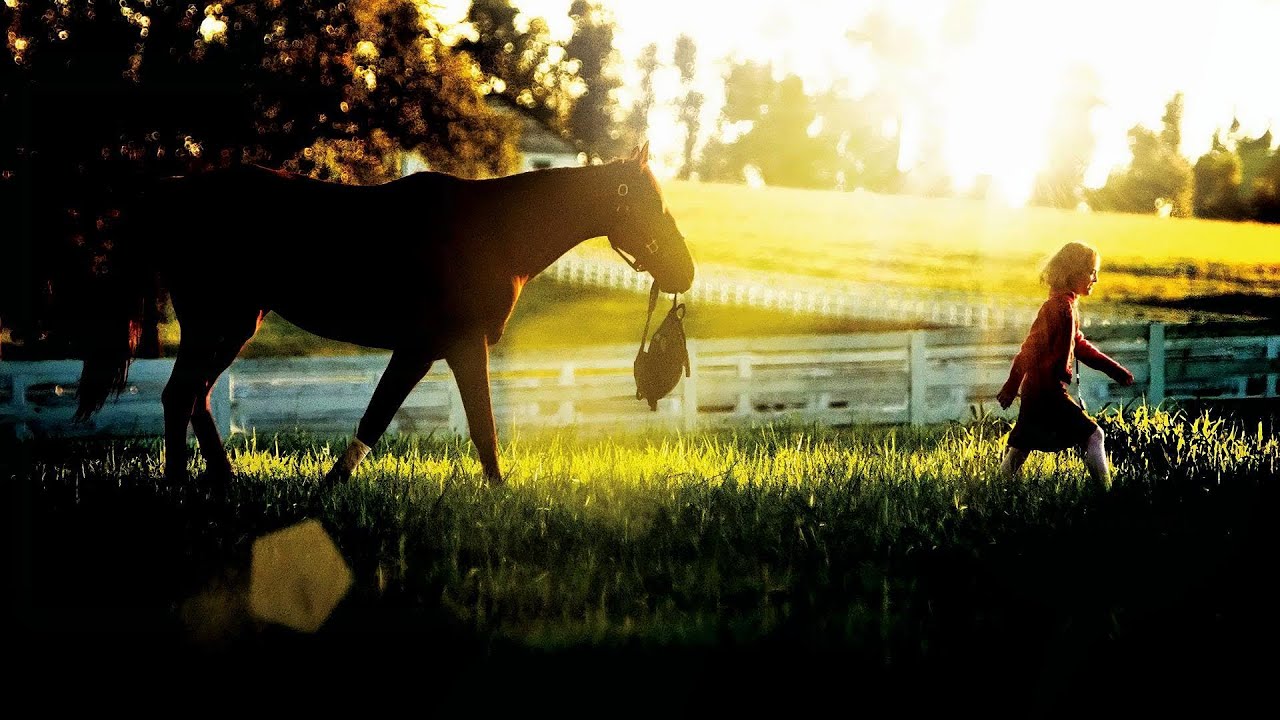 Dreamer: A broken racehorse and a young girl’s unyielding faith bring a family back together