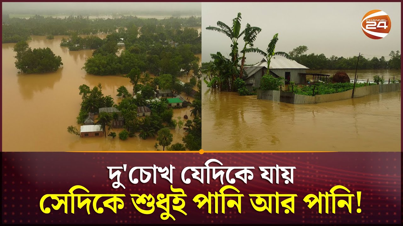 ভারতীয় ঢলে তলিয়ে গেছে শেরপুরের বিস্তীর্ণ এলাকা | Sherpur Flood | Channel 24