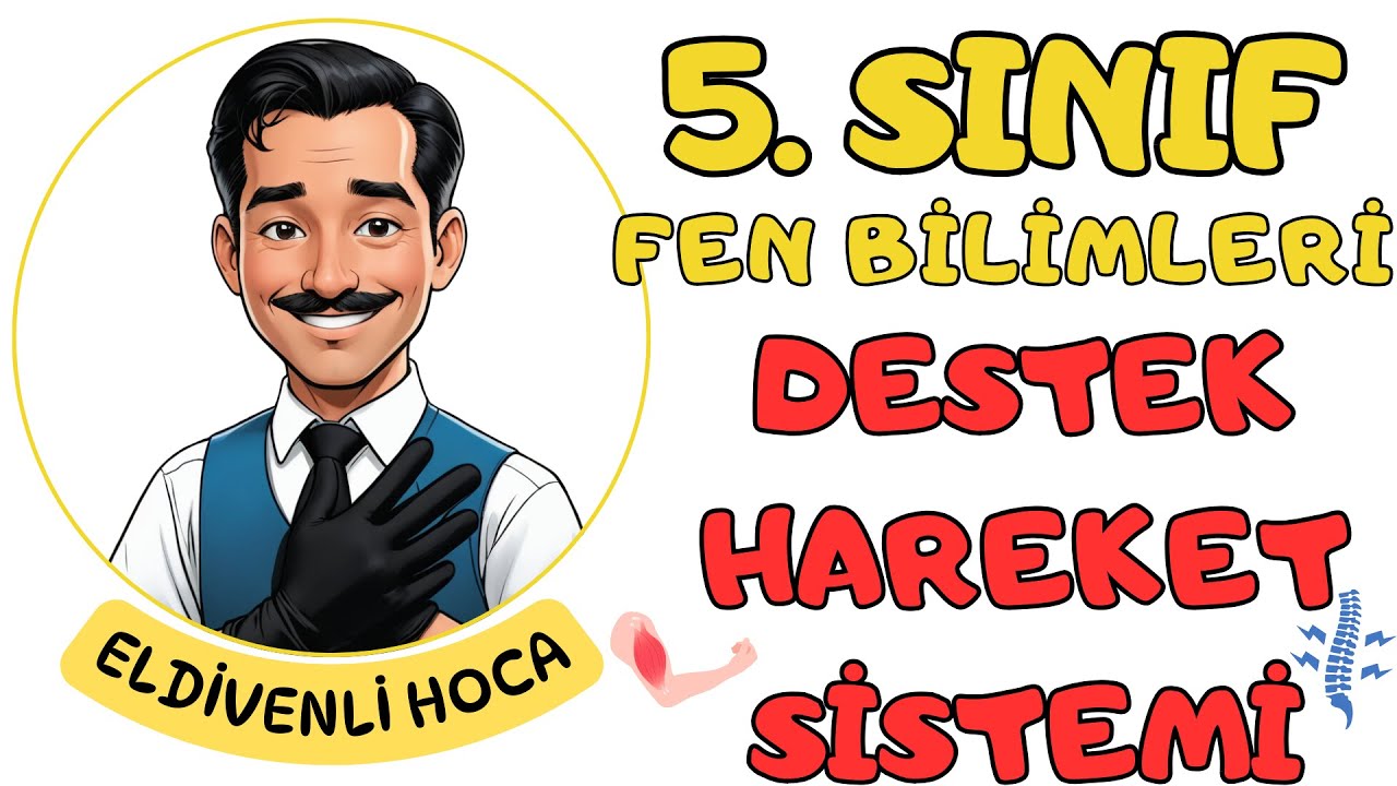 5.Sınıf Fen Bilimleri Destek ve Hareket Sistemi Konu Anlatımı - Eldivenli Hoca