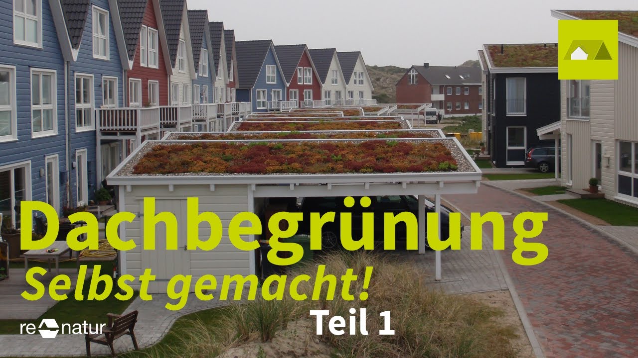 Gründach für Carport, Anbau oder Gartenhäuschen: Wie geht das?