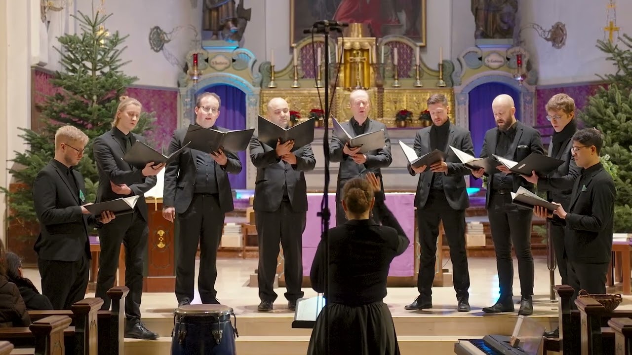 Alwin M. Schronen: Es wird scho glei dumpa | männervokalensemble MOEBIUS | Cond. Inga Brüseke