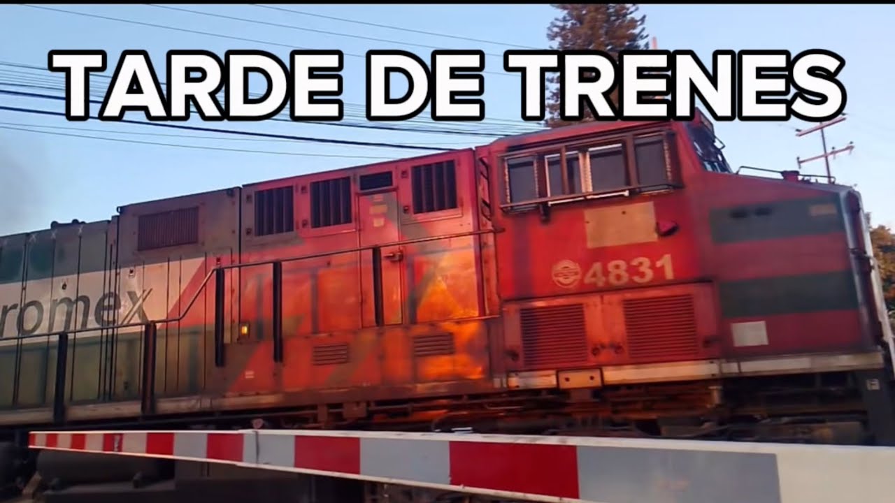 TARDE DE TRENES